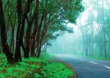 കനത്ത-മഴ;-വയനാട്-ടൂറിസ്റ്റ്-കേന്ദ്രങ്ങൾ-താൽക്കാലികമായി-അടച്ചു