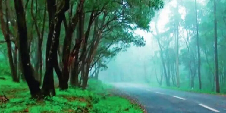 കനത്ത-മഴ;-വയനാട്-ടൂറിസ്റ്റ്-കേന്ദ്രങ്ങൾ-താൽക്കാലികമായി-അടച്ചു