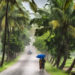 ന്യൂനമര്ദ്ദം;-സംസ്ഥാനത്ത്-അതിശക്തമായ-മഴയ്ക്ക്-സാധ്യത,-ഓറഞ്ച്-അലര്ട്ട്