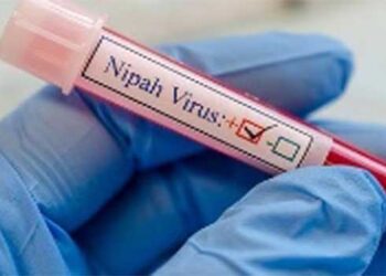 കേരളത്തിൽ-വീണ്ടും-നിപ,-സ്ഥിരീകരിച്ചത്-പാലക്കാട്-സ്വദേശിനിക്ക്,-നൂറിലധികം-പേർ-ഹൈറിസ്ക്-സമ്പർക്ക-പട്ടികയിൽ