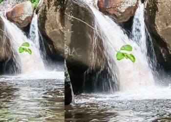 തെന്മല-വെള്ളച്ചാട്ടങ്ങളിലേക്ക്-സഞ്ചാരികളുടെ-ഒഴുക്ക്