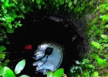 കിണറ്റിൽ-വീണ്-മരിച്ചെന്ന്-കരുതി…,-പുറത്തെടുക്കുന്നതിനിടെ-കൺപോളയിൽ-ഇളക്കം;-വയോധികയ്ക്ക്-അദ്ഭുത-രക്ഷ