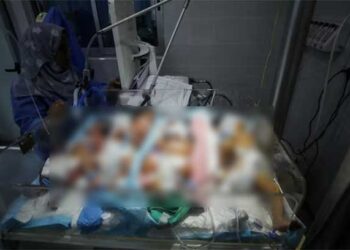 ആശുപത്രിയിലെ-ഒരു-ഇൻക്വബേറ്ററിൽ-ഒന്നിലധികം-നവജാത-ശിശുക്കളെ-പരിചരിക്കേണ്ട-അവസ്ഥ…-ഗാസയിൽ-വീണ്ടും-ഇസ്രയേൽ-ബോംബാക്രമണം;-10-കുട്ടികൾ-അടക്കം-16-പാലസ്തീനികൾ-കൊല്ലപ്പെട്ടു…,-വെടിനിർത്തൽ-ചർച്ച-എങ്ങുമെത്തിയില്ല