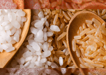 വെളുത്ത-അരി-കുടലിന്-ദോഷകരമോ?-ഈ-ഡോക്ടർ-പറയുന്നത്-കേട്ടാൽ-ഞെട്ടും!-നിങ്ങളുടെ-ധാരണകൾ-തിരുത്താം