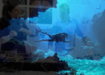 ‘സമുദ്രം-ചന്ദ്രനെക്കാൾ-നിഗൂഢം’!രഹസ്യങ്ങൾ-അറിയണമെങ്കിൽ-2030-ൽ-എത്തണം,കാരണമുണ്ട്…