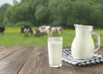 വ്യാപാര-ചർച്ചയിൽ-വീണ്ടും-കല്ലുകടി;-യു.എസിന്റെ-പാൽ-‘നോൺ-വെജ്’,-ഇറക്കുമതി-പറ്റില്ലെന്ന്-ഇന്ത്യ!