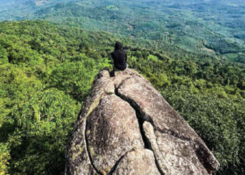 വി​സ്മയ​ക്കാ​ഴ്ച​ക​ളൊ​രു​ക്കി-ചേ​രി​യം-മ​ല