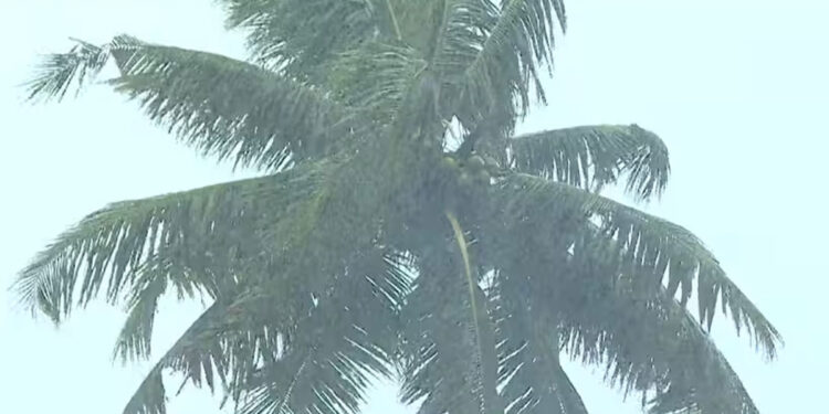 നിലവിലെ-തീവ്രന്യുനമർദ്ദത്തിനൊപ്പം-ജൂലൈ-24ഓടെ-പുതിയ-ന്യുനമർദം;-മഴ-തെല്ലും-കുറയില്ല,-5-ദിനം-കനക്കുമെന്ന്-മുന്നറിയിപ്പ്