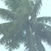 നിലവിലെ-തീവ്രന്യുനമർദ്ദത്തിനൊപ്പം-ജൂലൈ-24ഓടെ-പുതിയ-ന്യുനമർദം;-മഴ-തെല്ലും-കുറയില്ല,-5-ദിനം-കനക്കുമെന്ന്-മുന്നറിയിപ്പ്