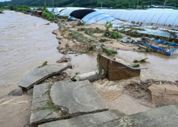 120-വർഷത്തിനിടയിലെ-ഏറ്റവും-ശക്തമായ-മഴ,-വെള്ളത്തിൽ-മുങ്ങി-ദക്ഷിണ-കൊറിയൻ-ഗ്രാമങ്ങൾ,-14-മരണം