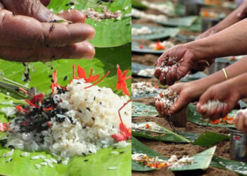 karkidaka-vavu-bali-2025:-കർക്കിടക-വാവ്-ബലി:-എന്താണ്-പിതൃതർപ്പണം?-എങ്ങനെയാണ്-പിണ്ഡം-സമർപ്പിക്കേണ്ടത്?-ബലി-കാക്കയും-പൂർവികരും-തമ്മിലുള്ള-ബന്ധം-എന്താണ്?
