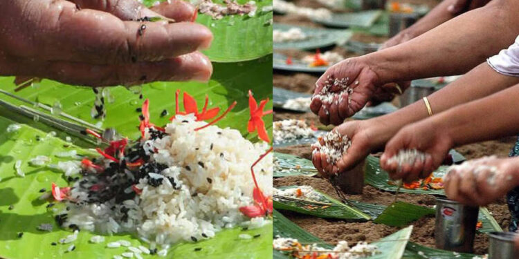 karkidaka-vavu-bali-2025:-കർക്കിടക-വാവ്-ബലി:-എന്താണ്-പിതൃതർപ്പണം?-എങ്ങനെയാണ്-പിണ്ഡം-സമർപ്പിക്കേണ്ടത്?-ബലി-കാക്കയും-പൂർവികരും-തമ്മിലുള്ള-ബന്ധം-എന്താണ്?