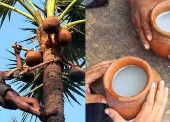 ബ്രിട്ടീഷ്-ഇന്ത്യ-സ്വതന്ത്ര-വ്യാപാര-കരാറിൽ-നമ്മുടെ-കള്ളിനും-കാര്യമുണ്ട്;-യുകെയിൽ-അം​ഗീകാരം-ലഭിച്ചേക്കുമെന്ന്-പ്രതീക്ഷ