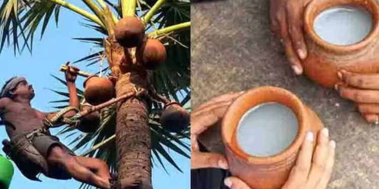 ബ്രിട്ടീഷ്-ഇന്ത്യ-സ്വതന്ത്ര-വ്യാപാര-കരാറിൽ-നമ്മുടെ-കള്ളിനും-കാര്യമുണ്ട്;-യുകെയിൽ-അംഗീകാരം-ലഭിച്ചേക്കുമെന്ന്-പ്രതീക്ഷ