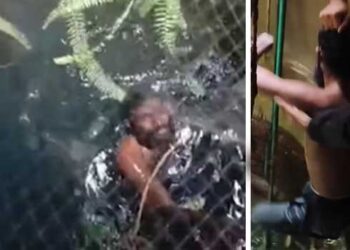 ഉദ്യോ​ഗസ്ഥർക്കു-വീഴ്ച-പറ്റി,-ആരെയും-ഇപ്പോൾ-കുറ്റപ്പെടുത്താനില്ല-ബൽറാം-കുമാർ-ഉപാധ്യായ,-4-ജയിൽ-ഉദ്യോ​ഗസ്ഥർക്കു-സസ്പെൻഷൻ,-അന്വേഷണം-കണ്ണൂർ-റേഞ്ച്-ഡിഐജിക്ക്