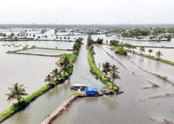പോകാം…-കൊച്ചുദ്വീപിലേക്ക്;-മനസ്സ്​-കവർന്ന്-കടമക്കുടി