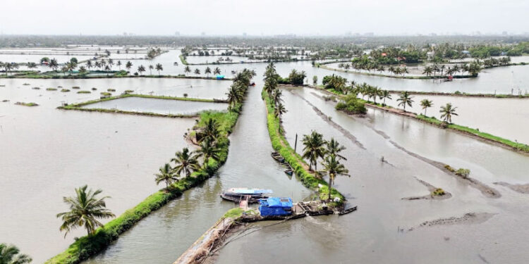 പോകാം…-കൊച്ചുദ്വീപിലേക്ക്;-മനസ്സ്​-കവർന്ന്-കടമക്കുടി