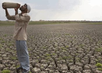 കർണാടകയിൽ-16-മാസത്തിനിടെ-നടന്നത്-981-കർഷക-ആത്മഹത്യകൾ;-പരസ്പരം-പഴിചാരി-ബിജെപിയും-കോൺഗ്രസും