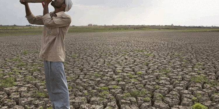 കർണാടകയിൽ-16-മാസത്തിനിടെ-നടന്നത്-981-കർഷക-ആത്മഹത്യകൾ;-പരസ്പരം-പഴിചാരി-ബിജെപിയും-കോൺഗ്രസും