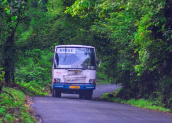 ആ​ന​വ​ണ്ടി​യി​ൽ-പോ​കാം,-ആ​റ​ന്മു​ള-വ​ള്ള​സ​ദ്യ​യു​ണ്ണാം