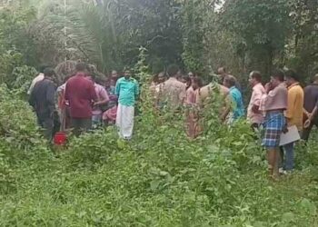 പള്ളിപ്പുറത്ത്-കണ്ടെത്തിയ-അസ്ഥിക്കൂടം-ജൈനമ്മയുടേതോ,-ബിന്ദുവിന്റേതോ?-അസ്ഥികൂടം-കണ്ടെത്തിയത്-ബിന്ദു-പത്മനാഭന്റെ-തിരോധാന-കേസിലെ-ആരോപണ-വിധേയന്റെ-വീട്ടുവളപ്പിൽ-നിന്ന്