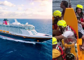 കൊച്ചി-കപ്പൽ-അപകടം:-വിഴിഞ്ഞം-സീപോർട്ടിനെയും-എംഎസ്-സിയെയും-കക്ഷിയാക്കാൻ-ദേശീയ-ഹരിത-ട്രൈബ്യൂണൽ