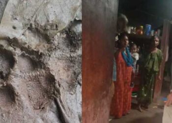 വളർത്തുനായയെ-ഓടിച്ച്-പുലി-ചെന്നുകയറിയത്-ആൾത്താമസമുള്ള-വീട്ടിൽ,-പുലിയെ-കണ്ട്-കൈക്കുഞ്ഞുമായി-യുവതി-മുറിയുടെ-വാതിലടച്ചതിനാൽ-അപകടം-ഒഴിവായി,-വാതിൽ-മാന്തി-തുറക്കാൻ-ശ്രമിച്ചതായി-വീട്ടുകാർ