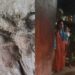 വളർത്തുനായയെ-ഓടിച്ച്-പുലി-ചെന്നുകയറിയത്-ആൾത്താമസമുള്ള-വീട്ടിൽ,-പുലിയെ-കണ്ട്-കൈക്കുഞ്ഞുമായി-യുവതി-മുറിയുടെ-വാതിലടച്ചതിനാൽ-അപകടം-ഒഴിവായി,-വാതിൽ-മാന്തി-തുറക്കാൻ-ശ്രമിച്ചതായി-വീട്ടുകാർ