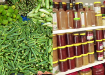 5000-ഓണം-ഗിഫ്റ്റ്-ഹാമ്പറുകൾ-പുറത്തിറക്കാൻ-കുടുംബശ്രീ;-ഇത്തവണ-25000-ഏക്കറിലെ-പച്ചക്കറിയും-പൂക്കളും-വിപണിയിലേക്ക്