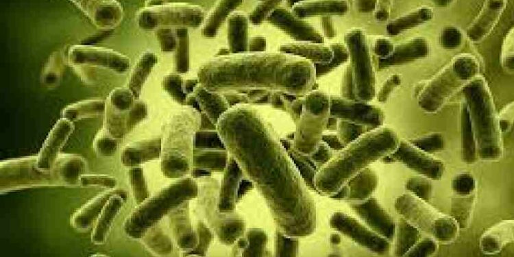 കുടിവെളളത്തിൽ-അമിത-അളവിൽ-കോളിഫോം-ബാക്ടീരിയ,-മാറ്റിവെച്ചത്-25ഓളം-ശസ്ത്രക്രിയകൾ