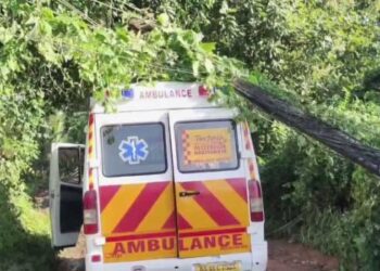 മൃതദേഹവുമായി-പോവുകയായിരുന്ന-ആംബുലൻസിനു-മുകളിലേക്ക്-ഒടിഞ്ഞുവീണു,-അപകടം-സമീപത്തുകൂടി-പോവുകയായിരുന്ന-കണ്ടെയ്നർ-ലോറി-വൈദ്യുത-ലൈനിൽ-കൊളുത്തി-വലിച്ചത്,-വാഹനത്തിലുണ്ടായിരുന്നവർ-രക്ഷപ്പെട്ടത്-തലനാരിഴയ്ക്ക്