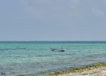 പവിഴപ്പുറ്റുകളുടെ-നാട്ടിലൂടെ…