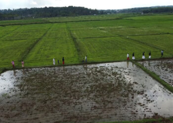 കർഷകദിനത്തിലും-കണ്ണീർ-തോരാതെ-കേരളത്തിലെ-കർഷകർ,-സംസ്ഥാനമെങ്ങും-കർഷക-സംഘടനകളുടെ-പ്രതിഷേധം