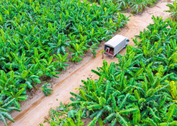 സ​ന്ദ​ർ​ശ​ക​ർ​ക്ക്-വാ​തി​ൽ-തു​റ​ന്ന്-സ​ലാ​ല-റ​സാ​ത്ത്-റോ​യ​ൽ-ഫാം