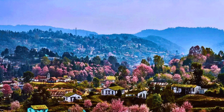 കേട്ടാൽ-കിളി-പോകും!-കുളു-മണാലിയും-ഗോവയും-ജയ്പൂരുമൊന്നുമല്ല,-ഇന്ത്യയിൽ-ഏറ്റവും-കൂടുതൽ-പേർ-തിരഞ്ഞ-ട്രാവൽ-ഡെസ്റ്റിനേഷൻ-ഇതാണ്