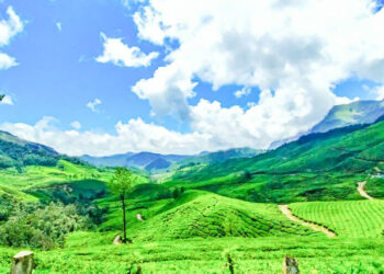 സഞ്ചാരികളുടെ-ഇഷ്ടഭൂമി-ഇടുക്കി-മിടുക്കി