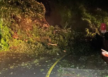 താമരശ്ശേരി-ചുരത്തില്‍-വലിയ-മണ്ണിടിച്ചില്‍-ഉണ്ടായതിനെ-തുടര്‍ന്ന-ചുരം-വഴിയുള്ള-ഗതാഗതം-പൂര്‍ണമായി-തടസപ്പെട്ടു-;-വ്യൂ-പോയിന്റിന്-സമീപം-മലയ്ക്ക്-മുകളില്‍-നിന്നും-പാറയും-മണ്ണും-ഇടിഞ്ഞുവീണു