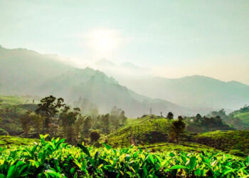 ഓണക്കാലം;-ടൂറിസം-മേഖലയിൽ-പ്രതീക്ഷകളുടെ-പൂക്കാലം
