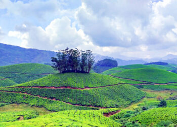 വിനോദസഞ്ചാര-കേന്ദ്രങ്ങളുണർന്നു