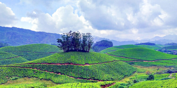 വിനോദസഞ്ചാര-കേന്ദ്രങ്ങളുണർന്നു