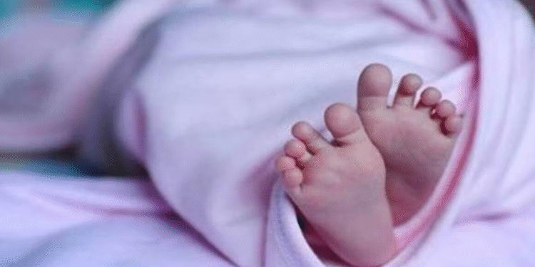 പൂട്ടിക്കിടന്ന-വീട്ടിനുള്ളിൽ-അഞ്ചു-വയസുകാരൻ-തലയ്ക്ക്-അടിയേറ്റ്-കൊല്ലപ്പെട്ട-നിലയിൽ