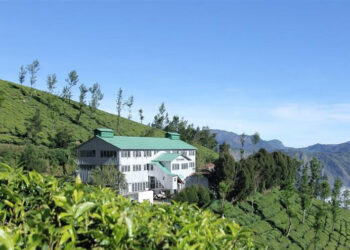 ‘ലോകത്തിലെ-ഏറ്റവും-ഉയരംകൂടിയ-തേയിലത്തോട്ടം!’