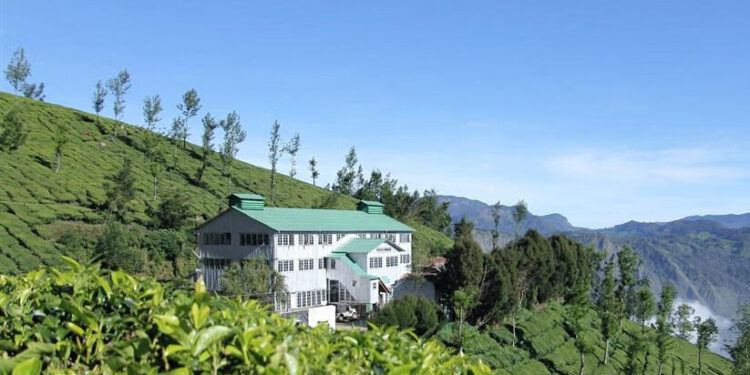 ‘ലോകത്തിലെ-ഏറ്റവും-ഉയരംകൂടിയ-തേയിലത്തോട്ടം!’