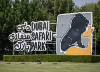 ദുബൈ-സഫാരി-പാർക്ക്​-ഒക്​ടോബറിൽ​-തുറക്കും