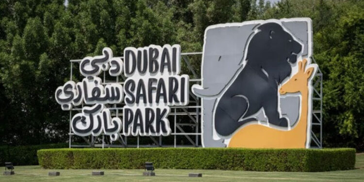 ദുബൈ-സഫാരി-പാർക്ക്​-ഒക്​ടോബറിൽ​-തുറക്കും