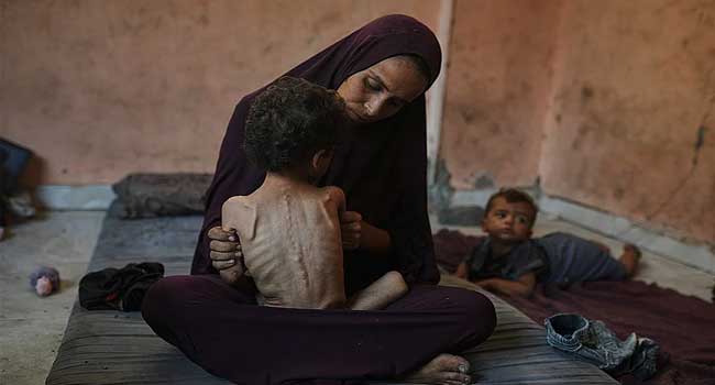 ഗാസയിൽ-മനുഷത്വ-രഹിത-കൂട്ടക്കൂരുതി!!-ഭക്ഷണവും-മറ്റ്-അവശ്യ-സാധനങ്ങളുമായി-അനുമതി-കാത്ത്-6,000-ട്രക്കുകൾ,-ഇനിയൊരു-കുടുംബത്തിനുപോലും-പലായനം-താങ്ങാനാവില്ല,-ഒരു-ചെറിയ-ടെന്റ്-കെട്ടാനുള്ള-സ്ഥലം-പോലും-സ്ഥലമില്ല-യുഎൻആർഡബ്ല്യു-വക്താവ്,-ഹമാസ്-ഉന്നത-സൈനിക-കമാൻഡറെ-വധിച്ചതായി-ഐഡിഎഫ്