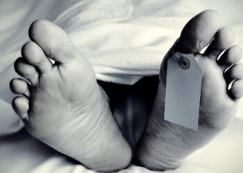 ഭക്ഷണം-കഴിക്കാൻ-പാലത്തിന്-മുകളിൽ-ഇരുക്കുന്നതിനിടെ-തെങ്ങ്-കടപുഴകി-വീണു,-തൊഴിലുറപ്പ്-തൊഴിലാളികൾക്ക്-ദാരുണാന്ത്യം,-അഞ്ചുപേര്‍ക്ക്-പരിക്ക്