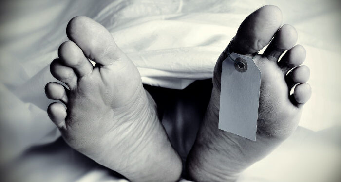 ഭക്ഷണം-കഴിക്കാൻ-പാലത്തിന്-മുകളിൽ-ഇരുക്കുന്നതിനിടെ-തെങ്ങ്-കടപുഴകി-വീണു,-തൊഴിലുറപ്പ്-തൊഴിലാളികൾക്ക്-ദാരുണാന്ത്യം,-അഞ്ചുപേര്‍ക്ക്-പരിക്ക്