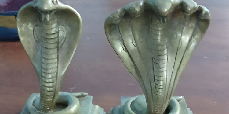 മീനിന്-പകരം-നാഗവിഗ്രഹങ്ങൾ;-മലപ്പുറത്ത്-വലയിൽ-കുടുങ്ങിയത്-5-കിലോ-തൂക്കമുള്ള-നിധി!