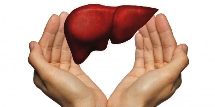 കരളിലെ-ക്യാൻസർ-നേരത്തെ-തിരിച്ചറിയാം;-ഇവ-ശ്രദ്ധിക്കാം